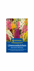 Kiepenkerlův dračík "Směs s vysokým řezem" Antirrhinum majus