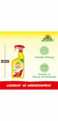 Neudorff Loxiran AF sprej na mravence 750 ml