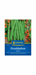 Kiepenkerl Prunkbohnen "Lady Di"