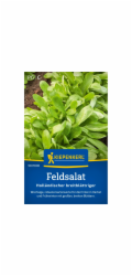 Kiepenkerl ův polní salát "holandský širokolistý"