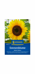 Kiepenkerl Slunečnice "Žlutý disk" Helianthus