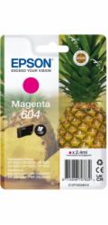 Epson ink C13T10G34010  T10G340, 604  or