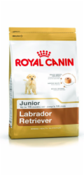 ROYAL CANIN SHN Breed Labrador Junior suché krmivo pro psy - 12 kg