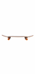 SKATEBOARD OUTLINER 3108-24