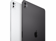 iPad Pro 11 palců Wi-Fi + Cellular 256 GB se standardním sklem – vesmírně černý