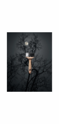 Schöner Wohnen Trendfarbe Luna matná 50 ml