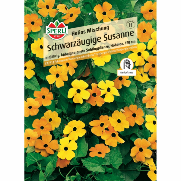 Sperli Black-eyed Susan "Orange with Eye" Thunbergia alata