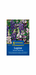 Kiepenkerl Lupinus polyphyllus