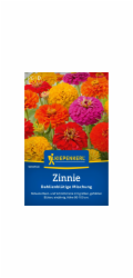 Kiepenkerl Zinnia "Směs květů jiřin" Zinnia elegans