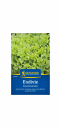 Kiepenkerl Endivie "Escario green"