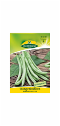 Quedlinburské zelené fazolky „Mombachská slanina“