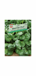 Sperli Mini Pak Choi "Tatsoi"
