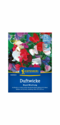 Kiepenkerl Sweet Pea "Royal Mix" Lathyrus odoratus
