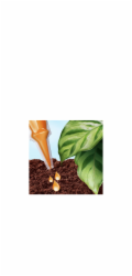 Regenerační kúra Compo Organic Green Plant 30 ml