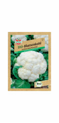 Sperli Bio květák