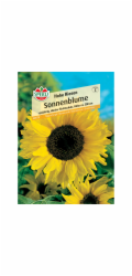 Slunečnice roční (Helianthus annuus)
