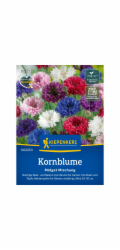 Kiepenkerl chrpa "Midget Mix" Centaurea cyanus
