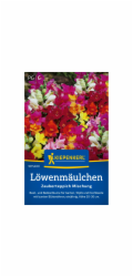 Kiepenkerl Snapdragon "Magic Carpet Mix" Antirrhinum majus