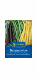 Kiepenkerl fazole "Neckarkönigin"