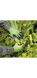 Zahradní rukavice s částečným latexovým povlakem, zelená, velikost 10