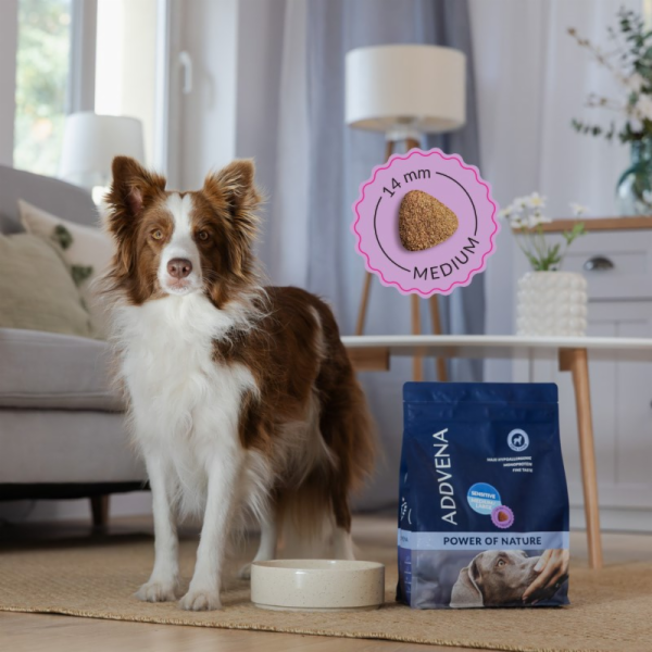 ADDVENA Power of Nature Adult Sensitive Medium/Large Lamb...