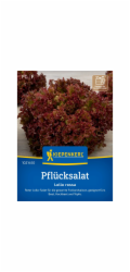Kiepenkerl sypaný salát "Lollo Rossa"