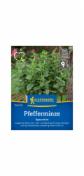 Kiepenkerl Máta peprná "Máta klasnatá" (Mentha spicata)