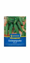 Kiepenkerl Pickles (Nakládací okurka) Diamant F1