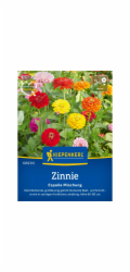 Kiepenkerl Zinnia Espana Mix
