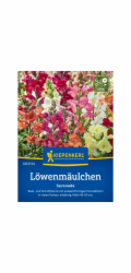 Kiepenkerl Snapdragon "Serenade" směs Antirrhinum