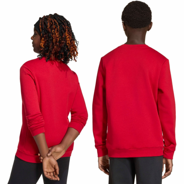 Adidas adidas ENTRADA 26 Sweat Top Junior JZ6556