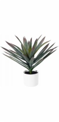 Home Styling Collection Kolekce pro domácí styling ORNO Umělá dekorativní rostlina, O 40 x 50 cm, agáve v bílém květináči