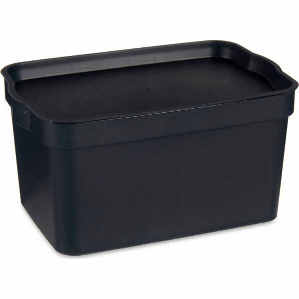 Kipit Plastová úložná krabice , 2,3 l