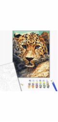 Norimpex Obraz podle čísel BRUSHME, 40x50 cm, portrét leoparda, 1 ks.