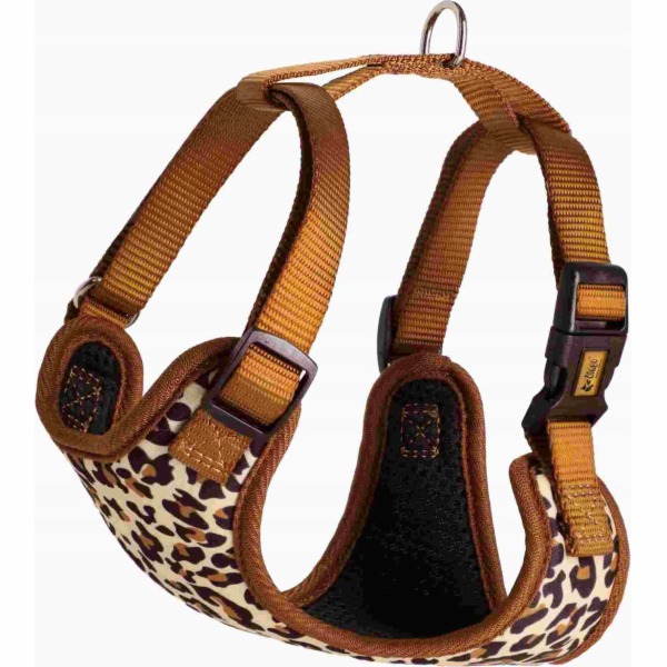 Dingo Beztlakový postroj DINGO S 1,5 cm / 30-38 cm leopard