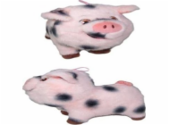 9069743
