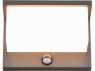 9137029