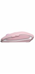 Cherry Gentix BT Cherry Blossom