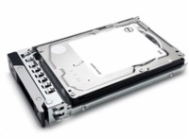 Dell/2,4TB/HDD/2.5"/SAS/10K RPM/1R