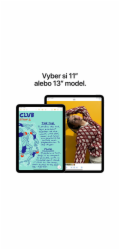 iPad Air 11" Wi-Fi + Cellular 256GB Kozmický sivý (2025)