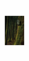 Braun Scouting Cam Black800 mini