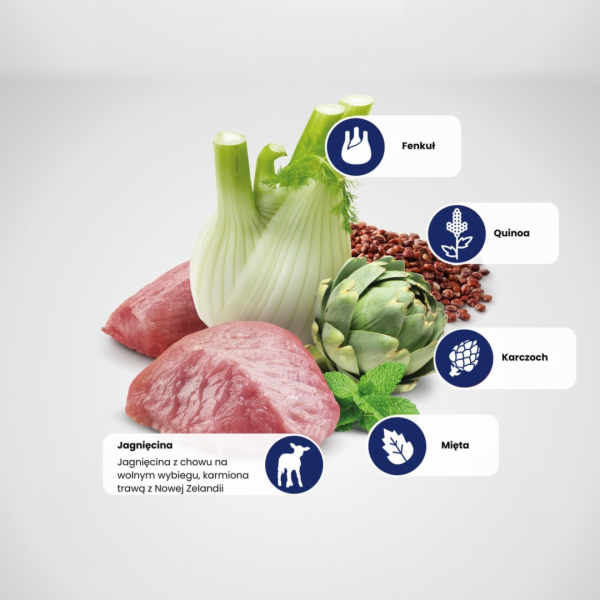 FARMINA N&D Quinoa Digestion - suché krmivo pro kočky - 1...