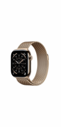 Apple Watch S11 Cell/42/Elegant Band/Gold