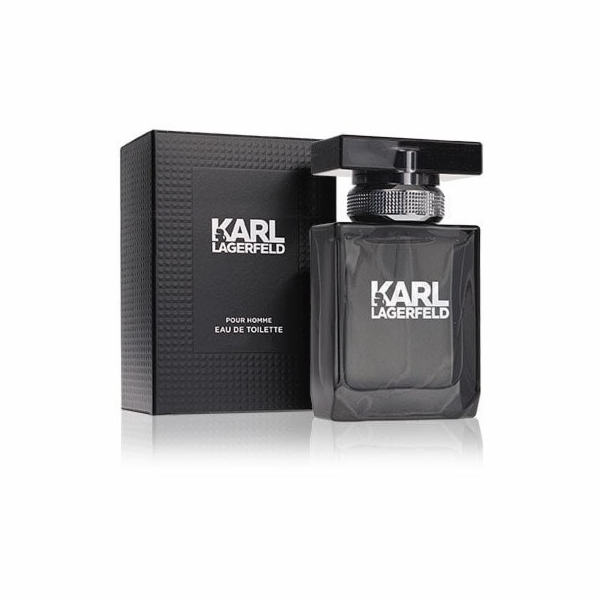 Karl Lagerfeld For Him EDT 100 ml
