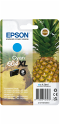 Epson ink C13T10H24010  T10H240, 604XL  