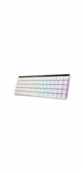 Asus ROG FALCHION RX Low profile(ROG RX