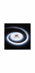 LED pásek 12V REBEL 11 W/m bílá studená (cívka 5m) REBEL LED0177