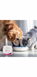 JM SANTE Vet Protector Gastro - Biotyk - multibiotik pro psy a kočky – 60 g