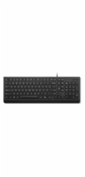 Lenovo Essential/Drátové USB-A/US layout/Černá