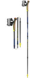 Leki Hole Nordic Walking Traveler FX.One Carbon 120